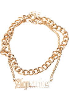 Zodiac Golden Anklet aquarius